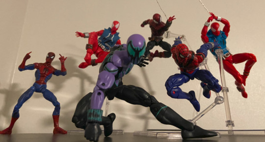 Display by Tom